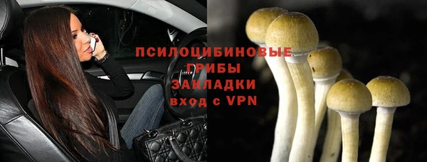 МДПВ Алзамай
