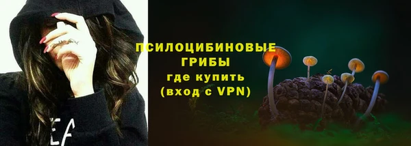 МДПВ Алзамай