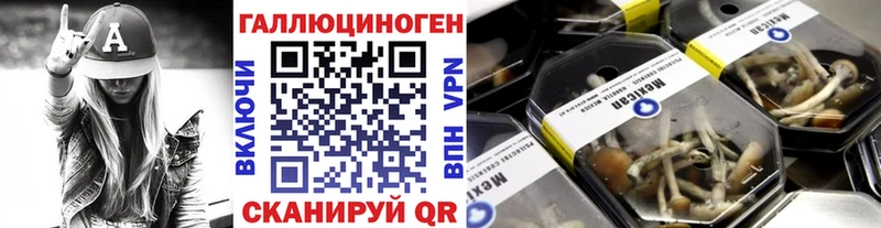 купить наркоту  Рубцовск  Псилоцибиновые грибы Psilocybe 